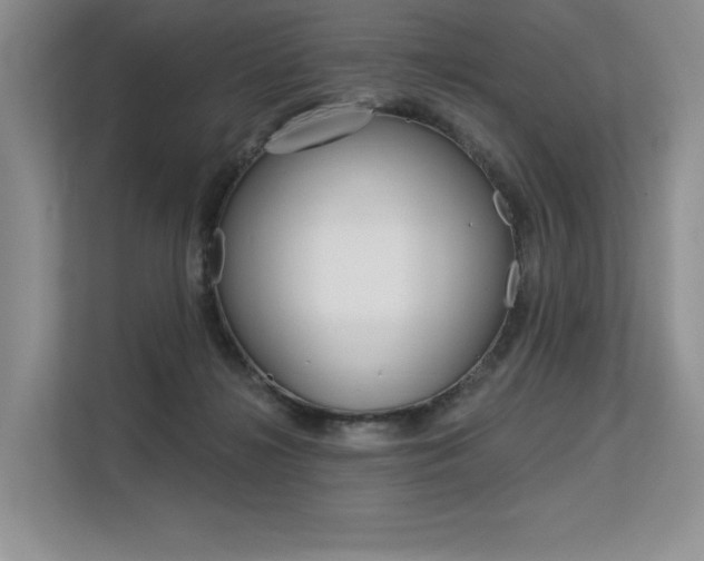 X0000113580268200909181025