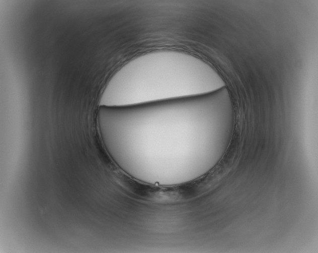 X0000113580270200909181025