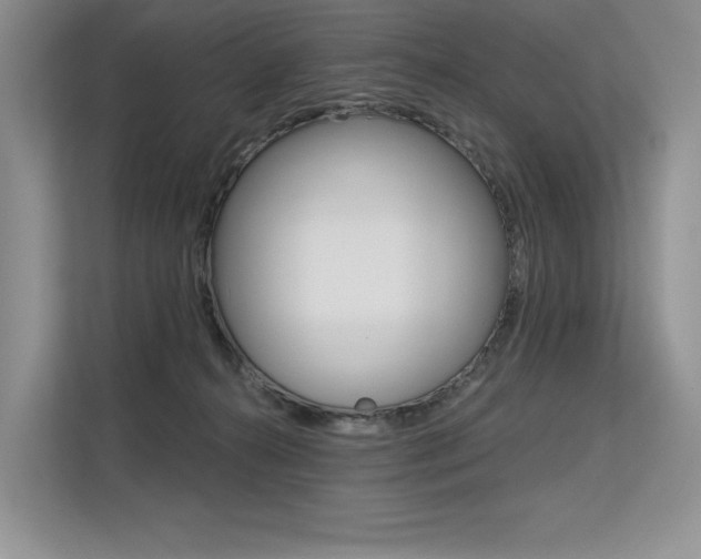 X0000113580272200909181025