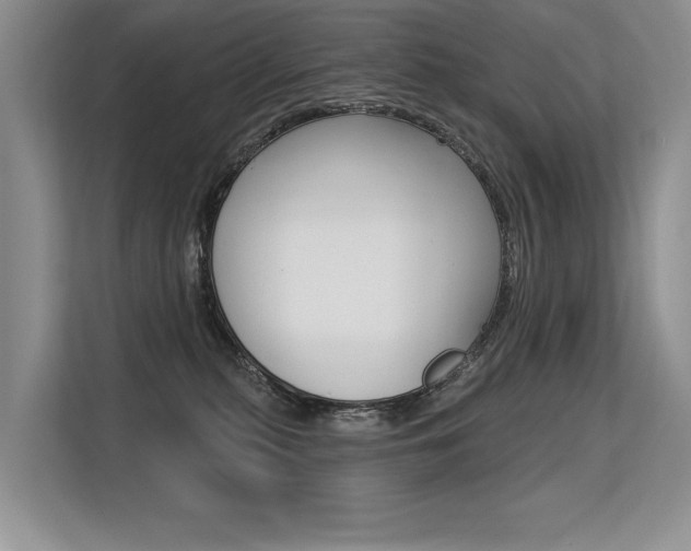 X0000113580279200909181026