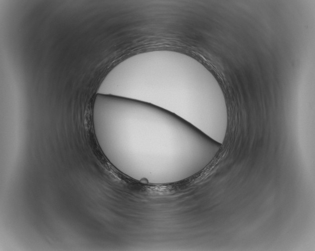 X0000113580281200909181026