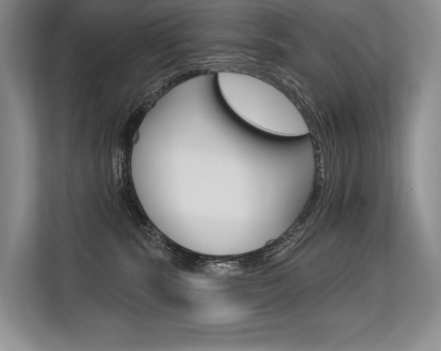 X0000113580283200909181026
