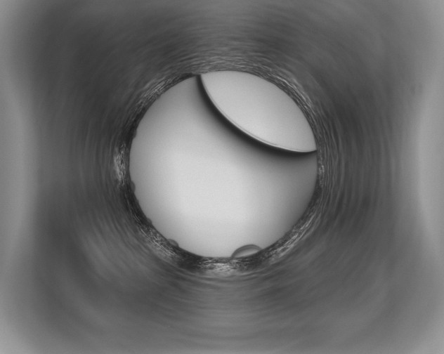 X0000113580285200909181026