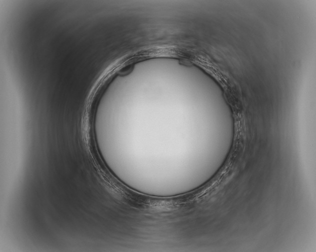 X0000113580293200909181025