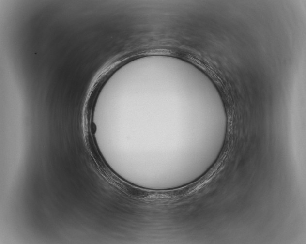X0000113580294200909181025