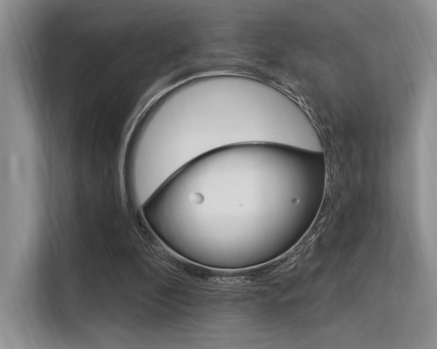 X0000113580296200909181025