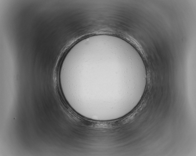 X0000113580298200909181025