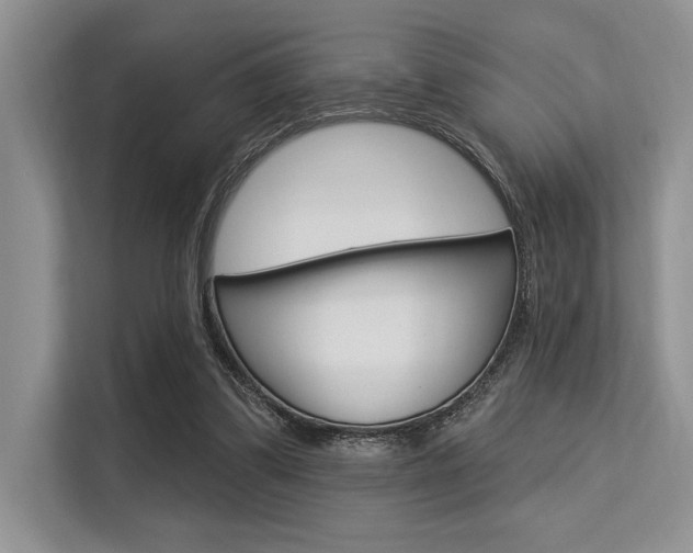 X0000113580299200909181025