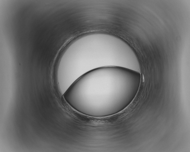 X0000113580300200909181025