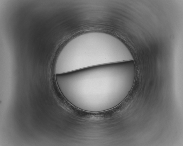 X0000113580303200909181025