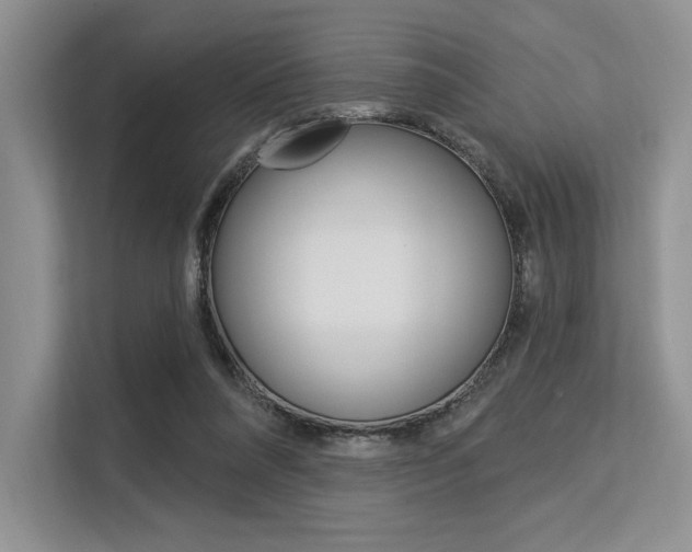 X0000113580304200909181025