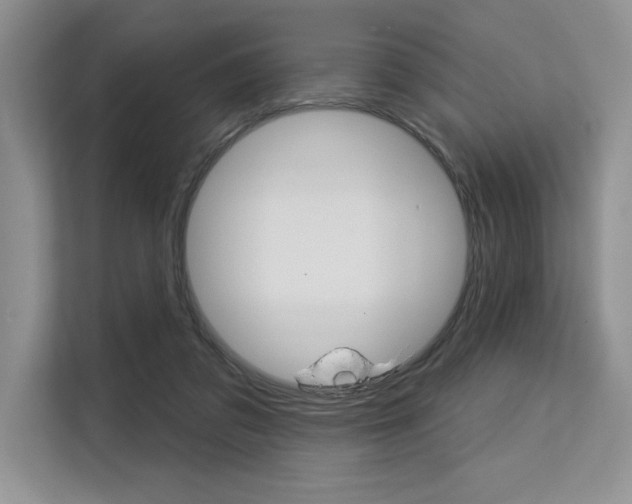X0000113580309200909181025