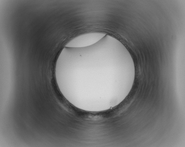 X0000113580311200909181025