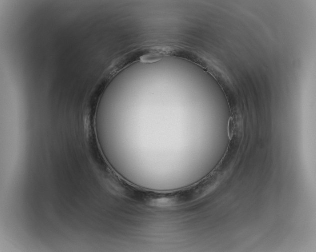 X0000113580312200909181025