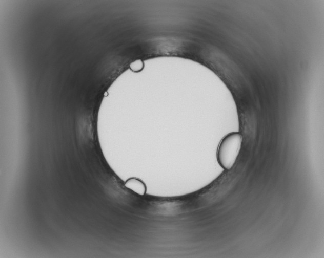 X0000113580313200909181025