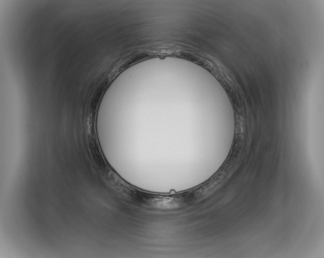 X0000113580326200909181025