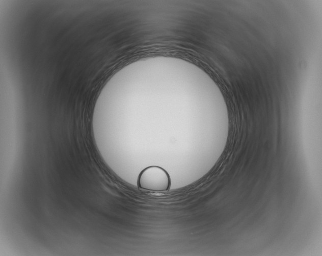 X0000113580328200909181025