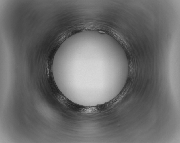 X0000113580333200909181024