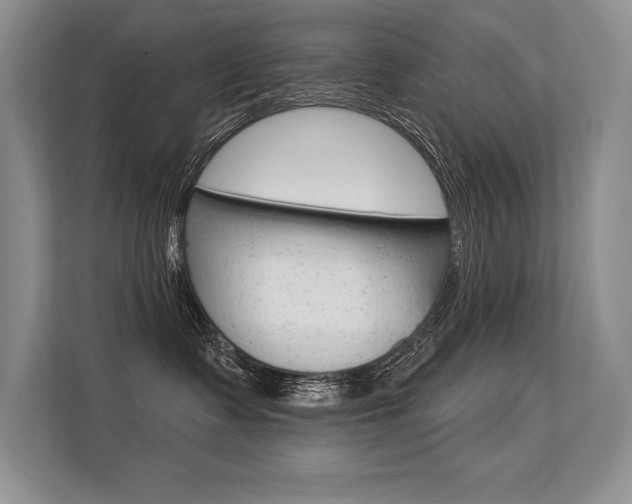 X0000113580335200909181024
