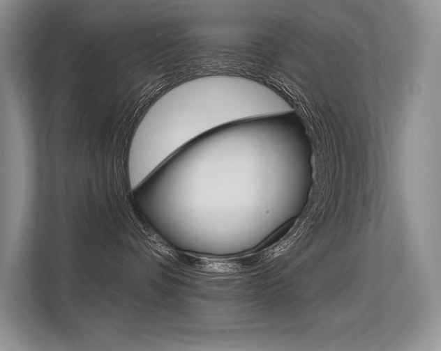 X0000113580336200909181024