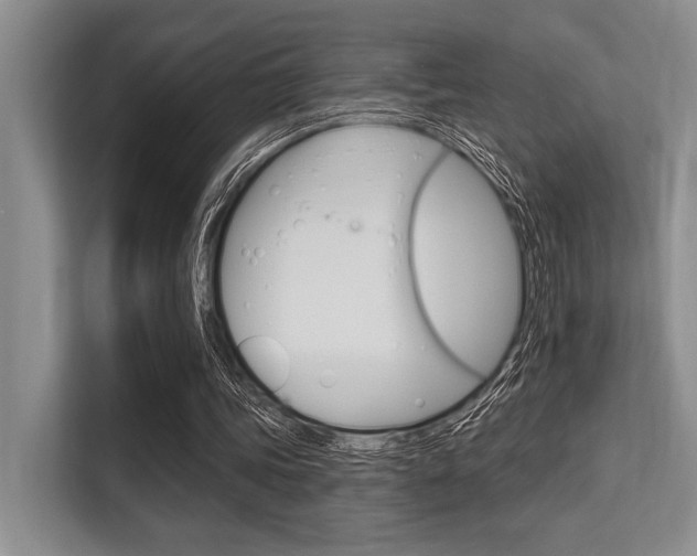 X0000113580339200909181024