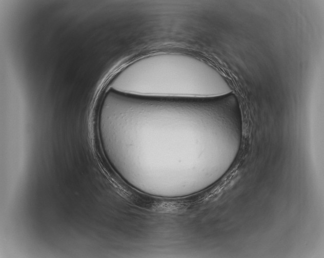 X0000113580341200909181024