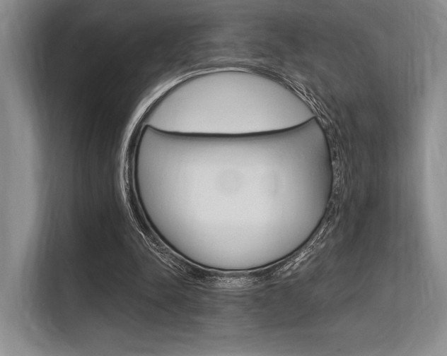 X0000113580342200909181024