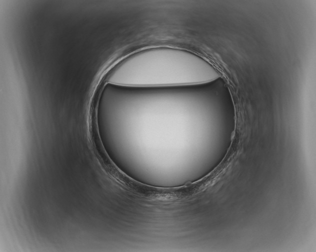 X0000113580344200909181024