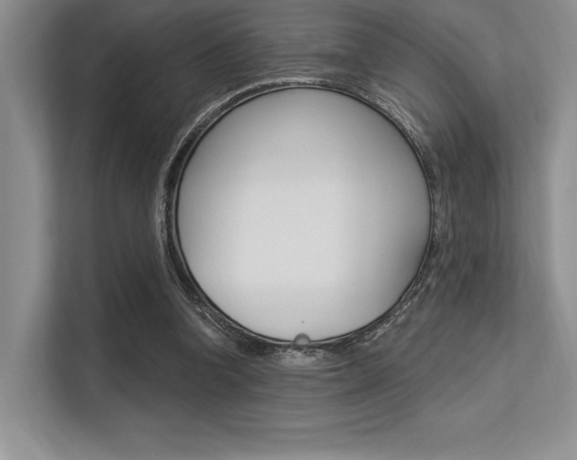 X0000113580346200909181024