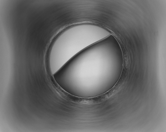 X0000113580350200909181024
