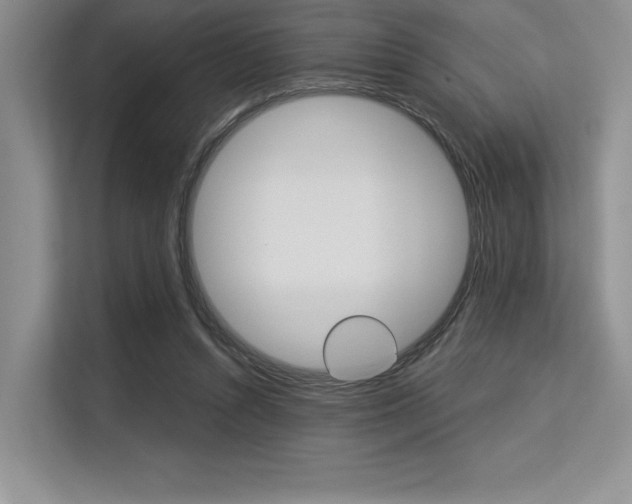 X0000113580352200909181024