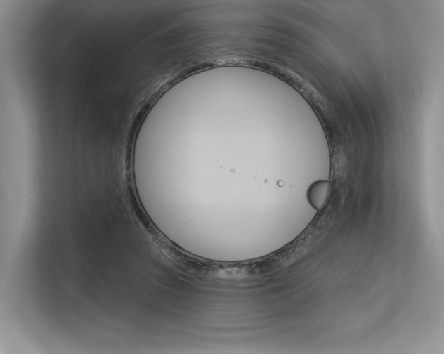 X0000113580353200909181024