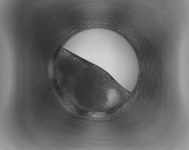 X0000113580359200909181024