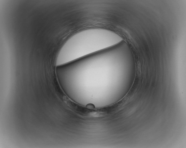 X0000113580364200909181024