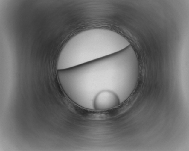 X0000113580366200909181024