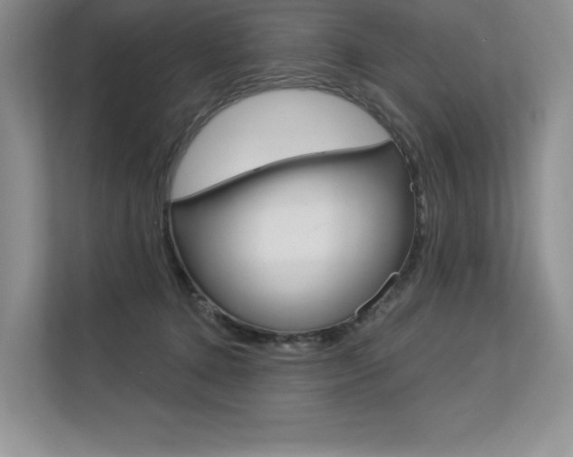 X0000113580368200909181024