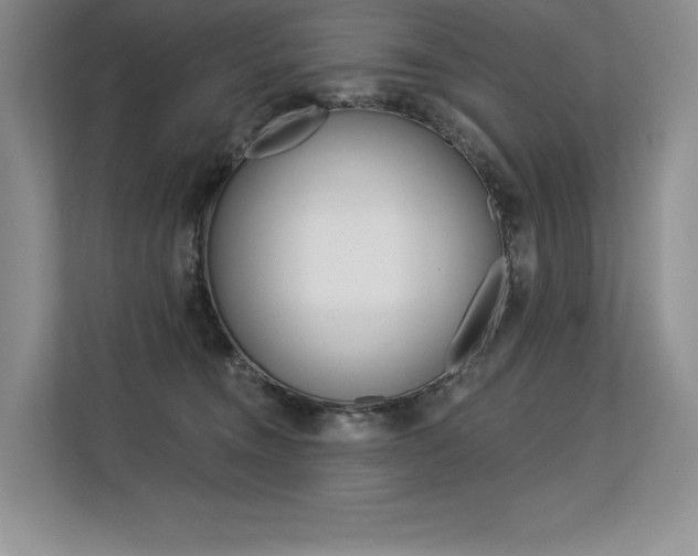 X0000113580372200909181024