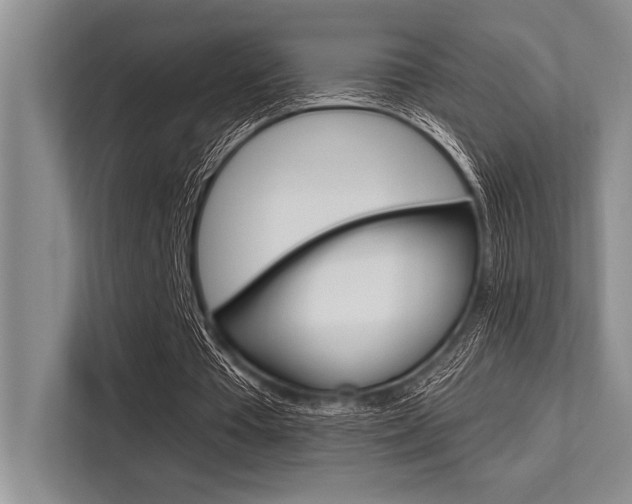 X0000113580385200909181024