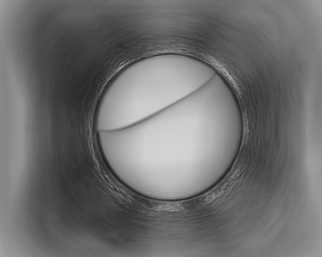X0000113580386200909181024
