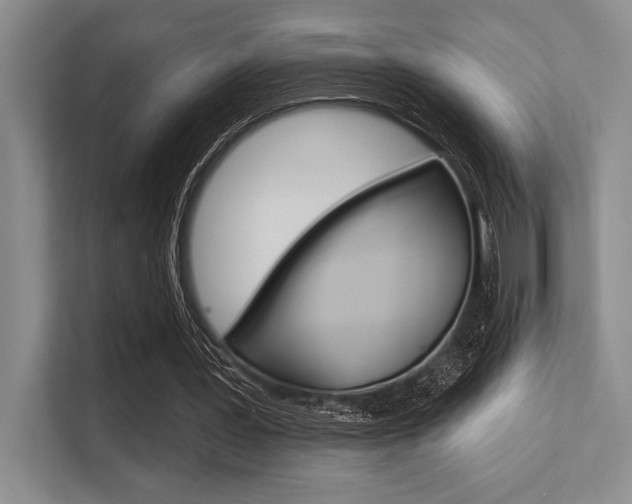 X0000113580387200909181024