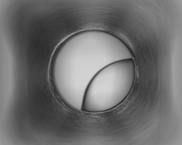 X0000113580388200909181024