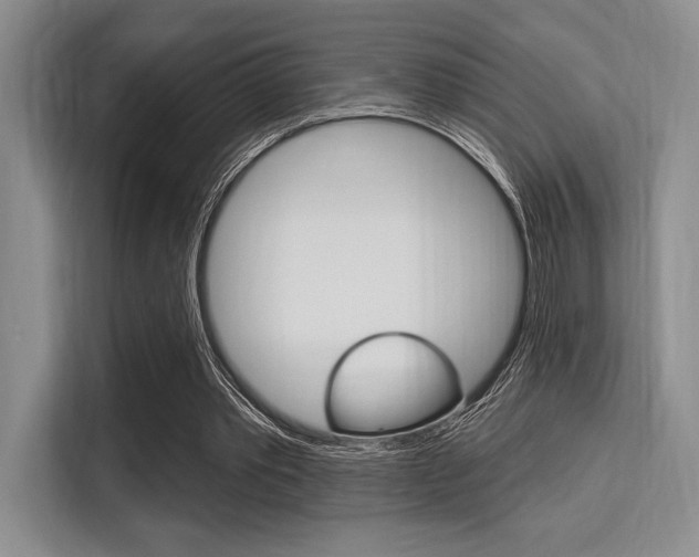 X0000113580389200909181024