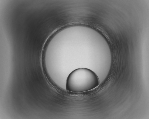 X0000113580395200909181024