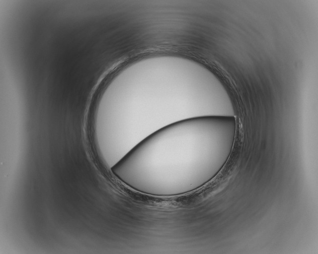 X0000113580396200909181024