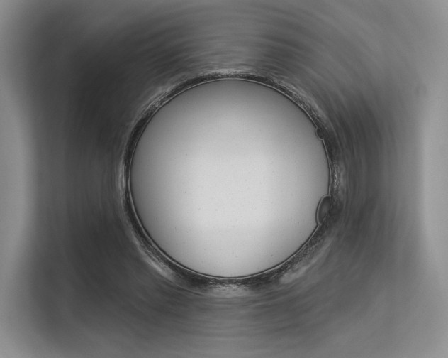 X0000113580397200909181024