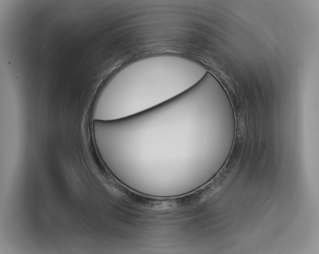 X0000113580398200909181024