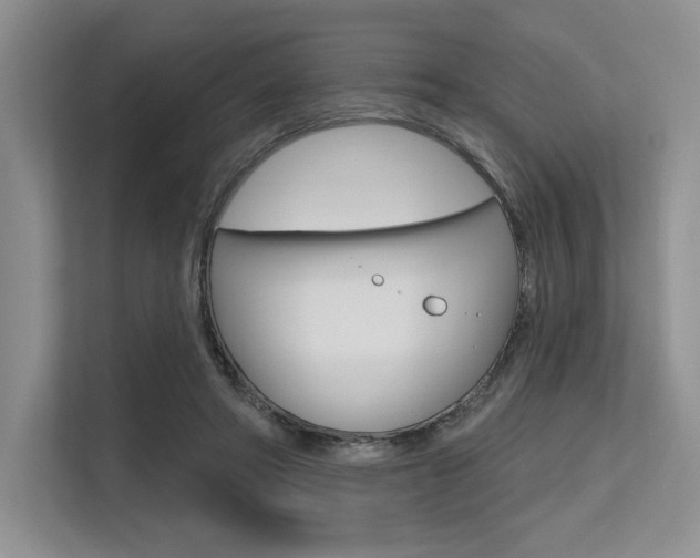 X0000113580402200909181024