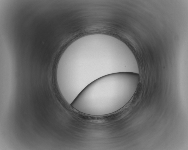 X0000113580404200909181024