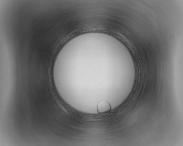 X0000113580405200909181024