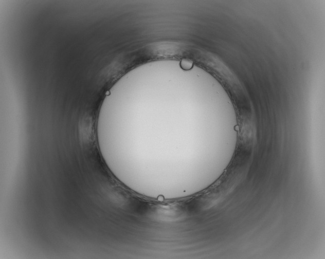 X0000113580411200909181023